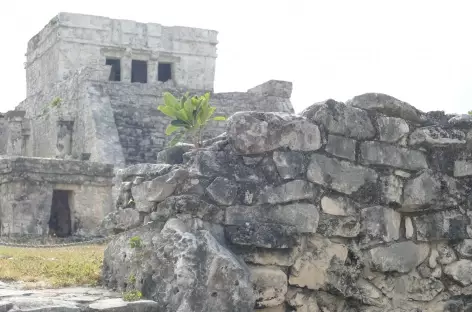 Site Maya de Tulum, El Castillo - Mexique