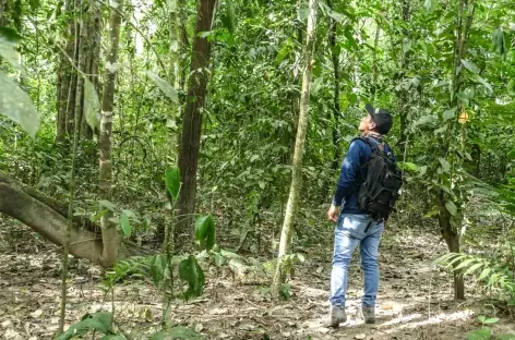Punta laguna_Mexique