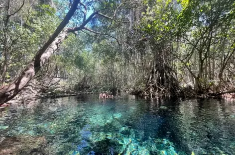 Baignade dans la lagune_Mexique