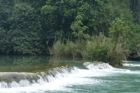 Navigation sur la rivière Tzendales - Mexique