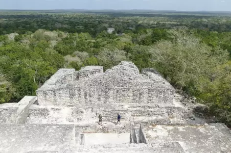 Site Maya de Calakmul - Mexique
