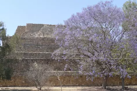 Monte Alban