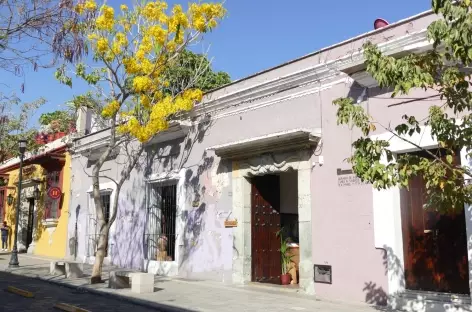 Oaxaca