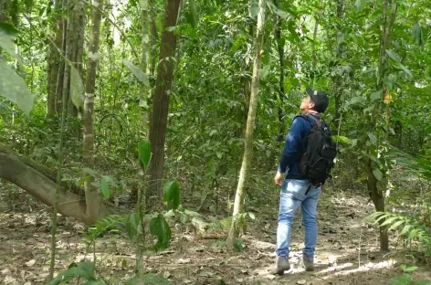 Las Guacamayas