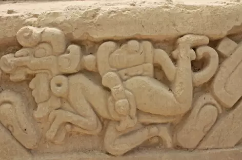 Temple Maya_el mirador_Mexique