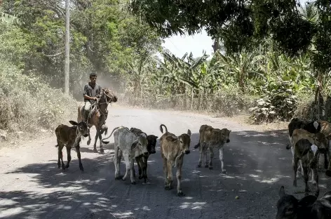 Ambiance sur l'île Omotepe - Nicaragua 