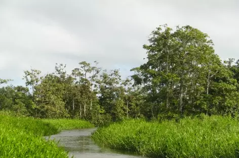 Navigation dans la réserve Los Guatuzos