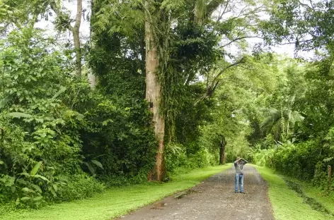 Observation dans la réserve Los Guatuzos