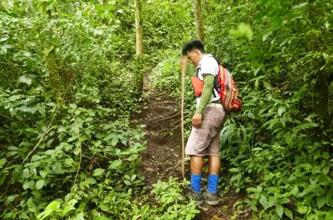 Au cours de l'ascension du volcan Concepcion