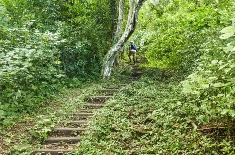 Au cours de l'ascension du volcan Maderas