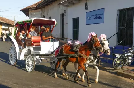 Calèche à Granada