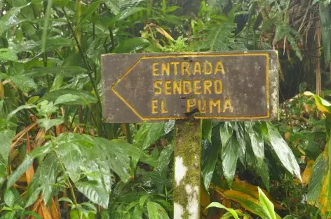 volcan Mombacho