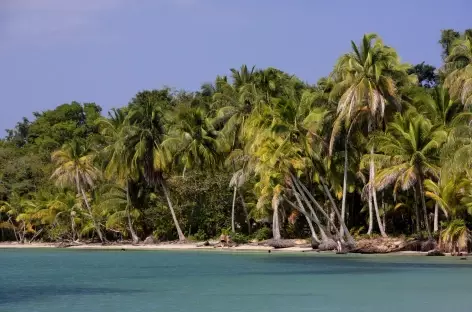 Balade vers la plage des étoiles de mer à Bocas del Toro - Panama