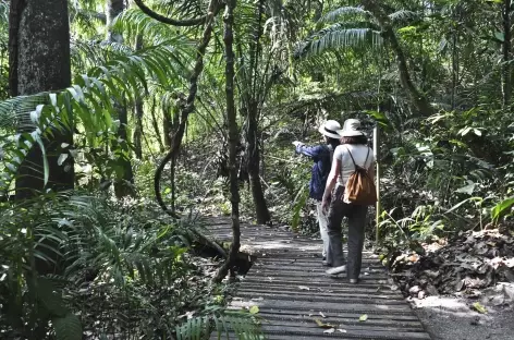 Balade dans le parc du Volcan Baru - Panama