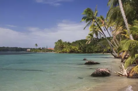 Archipel Bocas del Toro, balade sur les plages de l'île Colon - Panama