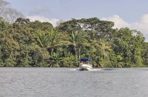 Balade en bateau sur le lac Gatun - Panama