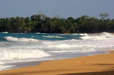 Plage de la côte sauvage sur l'île Colon, archipel Bocas del Toro - Panama - 