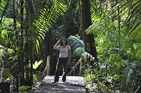 Balade sur les sentiers aménagés du parc national de Soberania - Panama - 