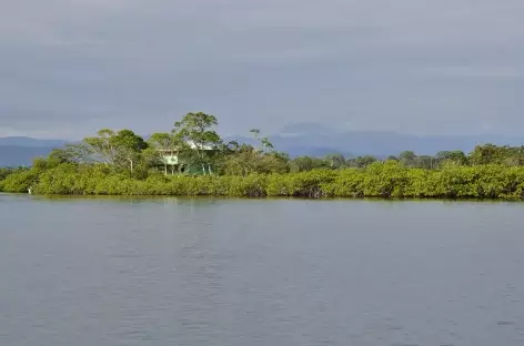 Zone de mangrove à Bocas del Toro - Panama - 