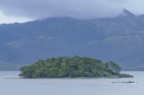 Croisière en Patagonie, îlots Tuckers