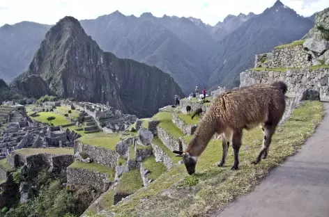 Le Machu Picchu - Pérou - 