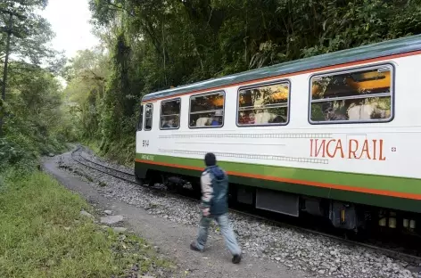 En train vers Aguas Calientes - Pérou