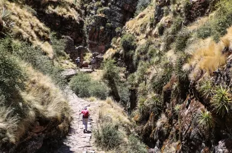 Le canyon Leonpunku - Pérou