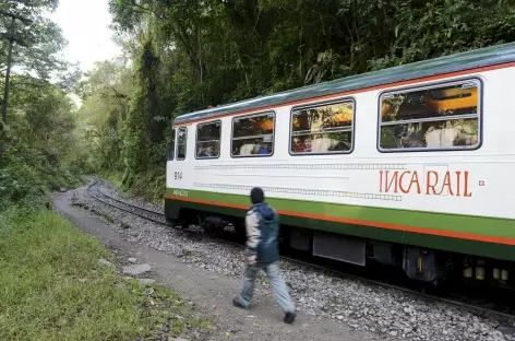 Train vers Aguas Calientes - Pérou