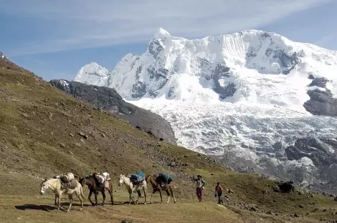 A l'approche du col Alto Palomani - Pérou