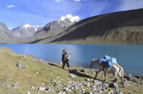 Cordillère Vilcanota, sur les bords de la laguna Singrenacocha - Pérou