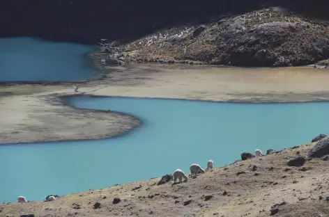 Cordillère Vilcanota, jeu de couleurs vers la lagune Comercocha - Pérou