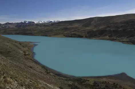 Cordillère Vilcanota, sur les bords de la laguna Singrenacocha - Pérou