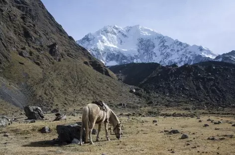 Notre camp au pied du Salcantay - Pérou