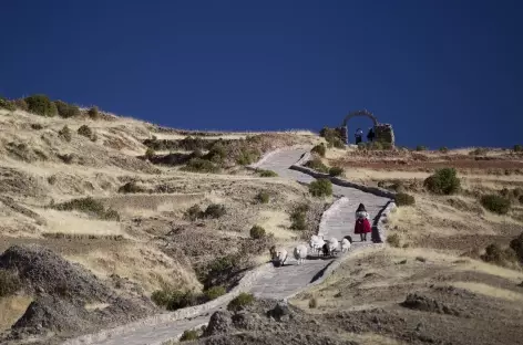 Balade sur l'île d'Amantani - Pérou