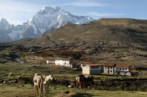 Arrivée à Pacchanta - Pérou