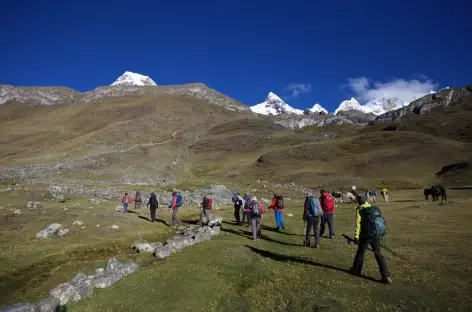 Entre les alpages de Huayhuash et la lagune Viconga - Pérou