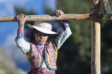 Rencontre dans le canyon de Colca