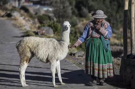 Rencontre au canyon de Colca - Pérou