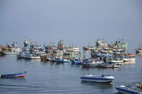 Le port de Paracas - Pérou - 