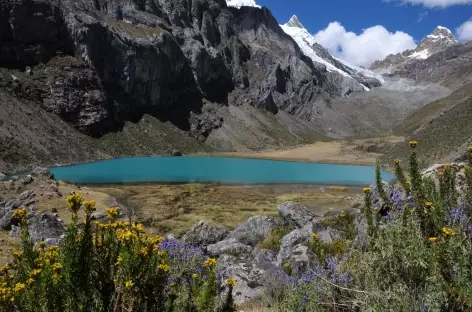 Marche dans la vallée Rasac - Pérou