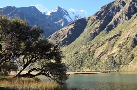 Sur les bords de la lagune Solteracocha - Pérou