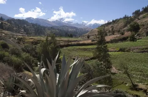 Descente dans la vallée de Huaraz - Pérou