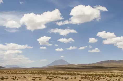 L'altiplano entre Arequipa et Chivay - Pérou