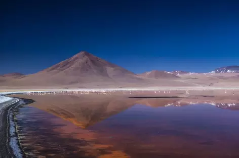Laguna Colorada - Bolivie