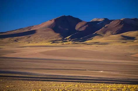 Désert de Siloli - Bolivie