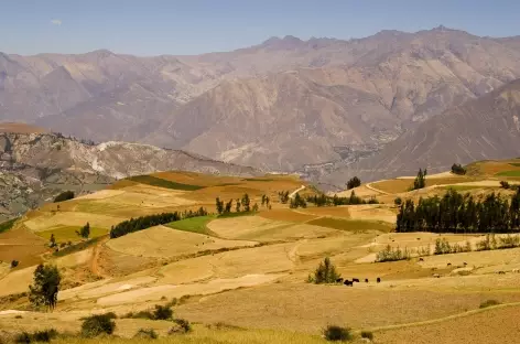 Marche entre Cashapampa et Hualcayan