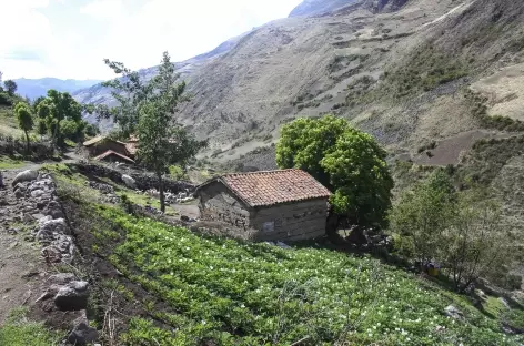 Les premières maisons du gros village de Colcabamba