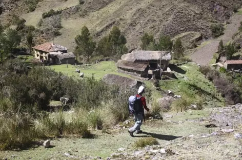 Descente dans la belle vallée cultivée d’Ingenio