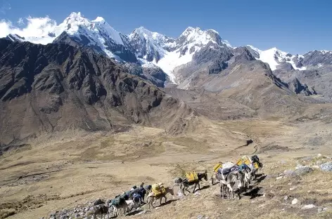 Passage du col Mesapata - Pérou