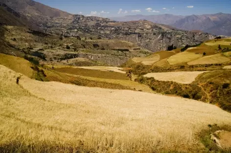 Champs cultivés vers Hualcayan